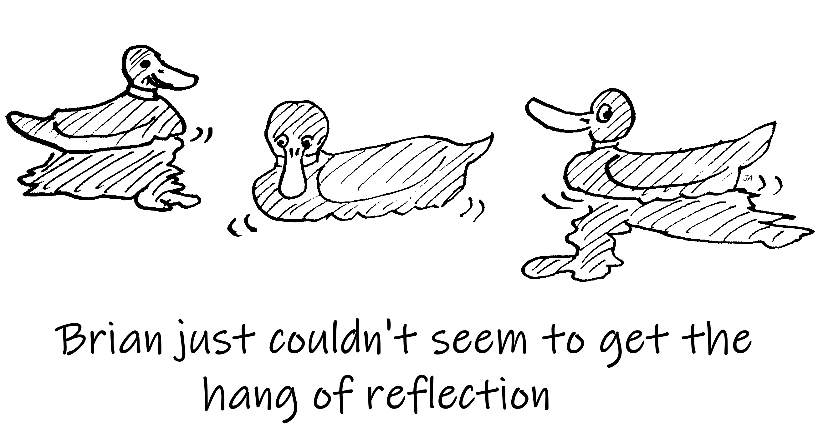 brian_just_couldn't_seem_to_get_the_hang_of_reflection_duck_jason_anderson